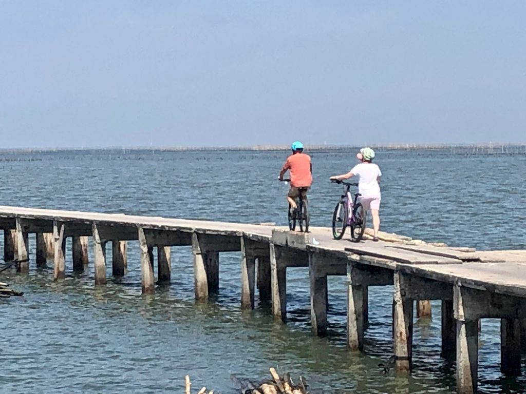 Coastal cycling along Bang Saen beach with ocean views and fresh seafood