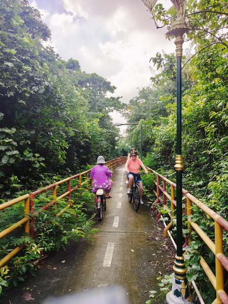 Cyclists riding through narrow jungle pathways with tall palm trees and dense greenery on Bangkachao island