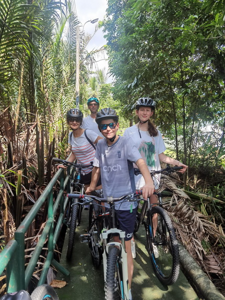 Cyclist riding along a peaceful elevated walkway surrounded by lush green palm trees and fresh jungle air