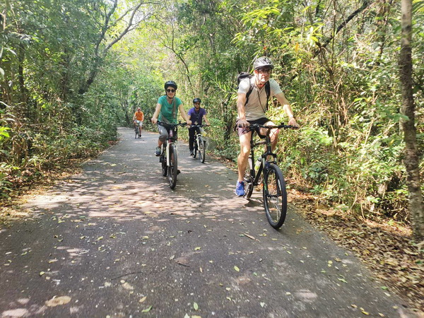 Cyclists riding through a serene park with tall trees providing shade along a paved jungle pathway