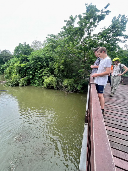 Young boy feeding fish in a serene pond surrounded by hanging ferns and tropical plants at a Bangkachao temple