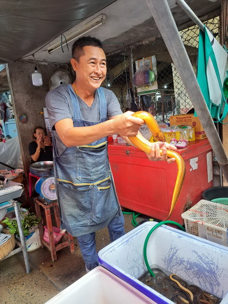 Smiling vendor holding a large eel at a local market stall