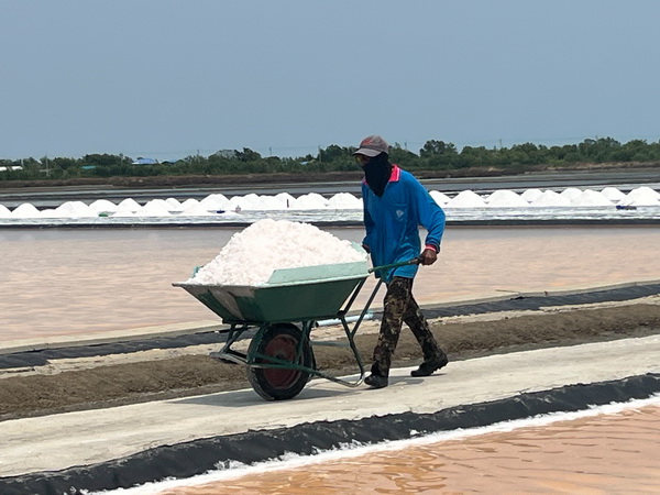 Local worker harvesting salt with a wheelbarrow across the vast white salt pans
