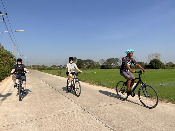 Cyclists riding along quiet country roads with lush green rice fields on either side