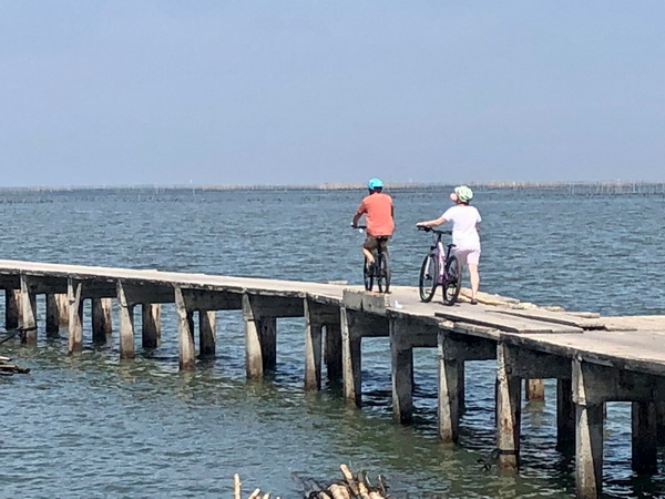 Two cyclists riding along a wooden jetty over the water with oyster farms in the distance