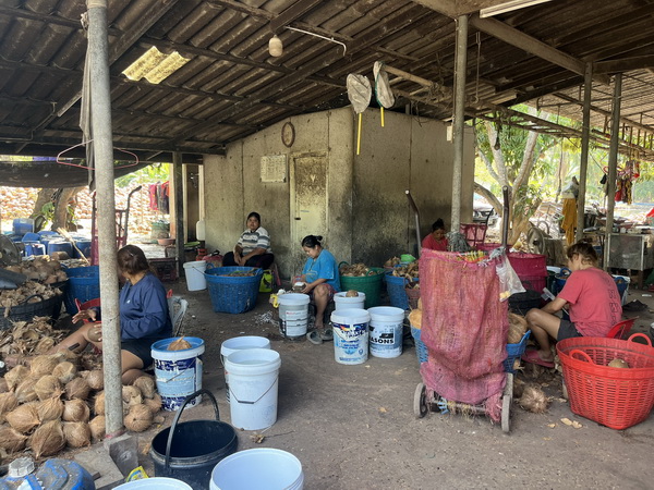 Local workers processing coconuts at a rural facility on the floating market bike tour
