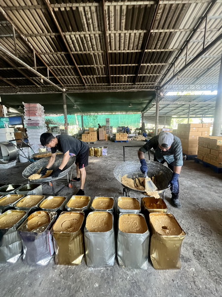 Workers making palm sugar in large woks at a coconut plantation facility