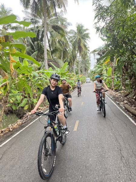 Tour group cycling along quiet roads surrounded by coconut and banana plantations