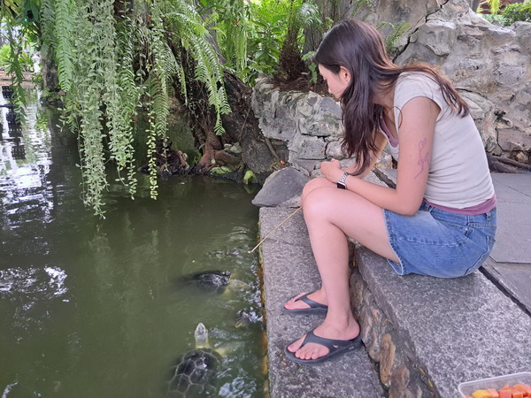 Visitor feeding turtles in the serene pond at Wat Prayun temple grounds