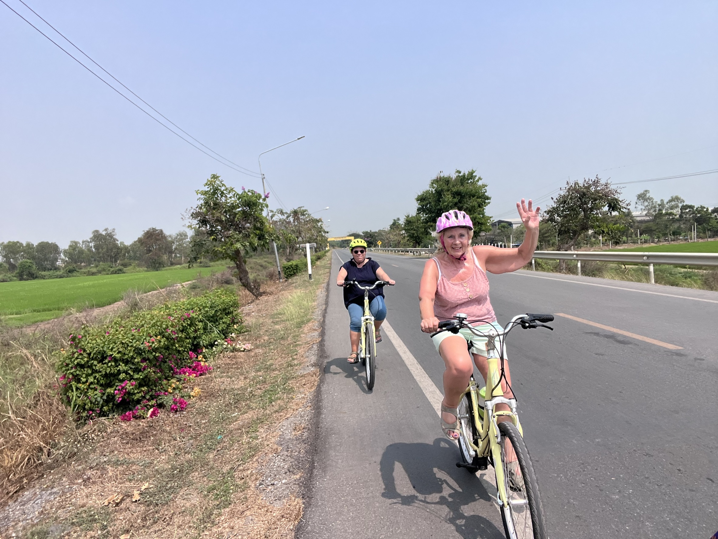 Endless panoramas of lush green and golden rice fields along the cycling route to Ayutthaya