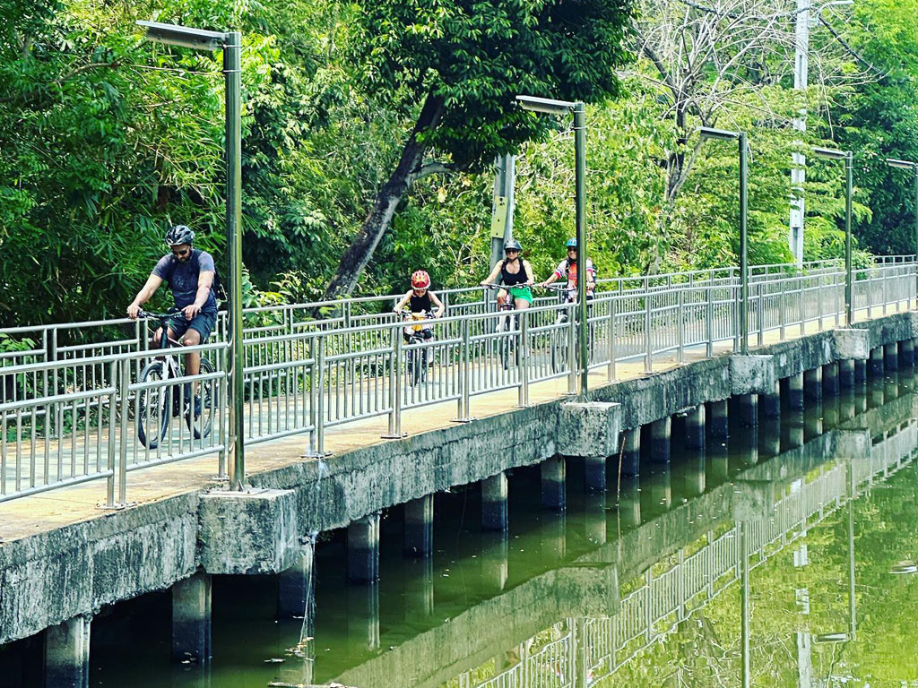 Cyclists riding through lush green palm plantations on elevated pathways in Bang Krachao