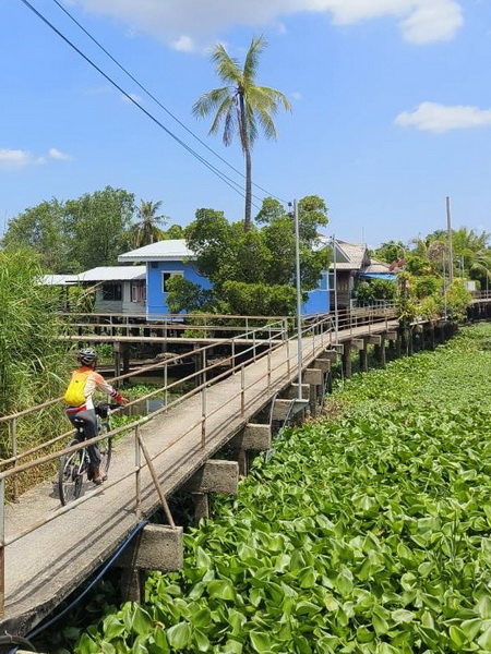 Cyclist riding on elevated walkways through lush green countryside canals near Bangkok