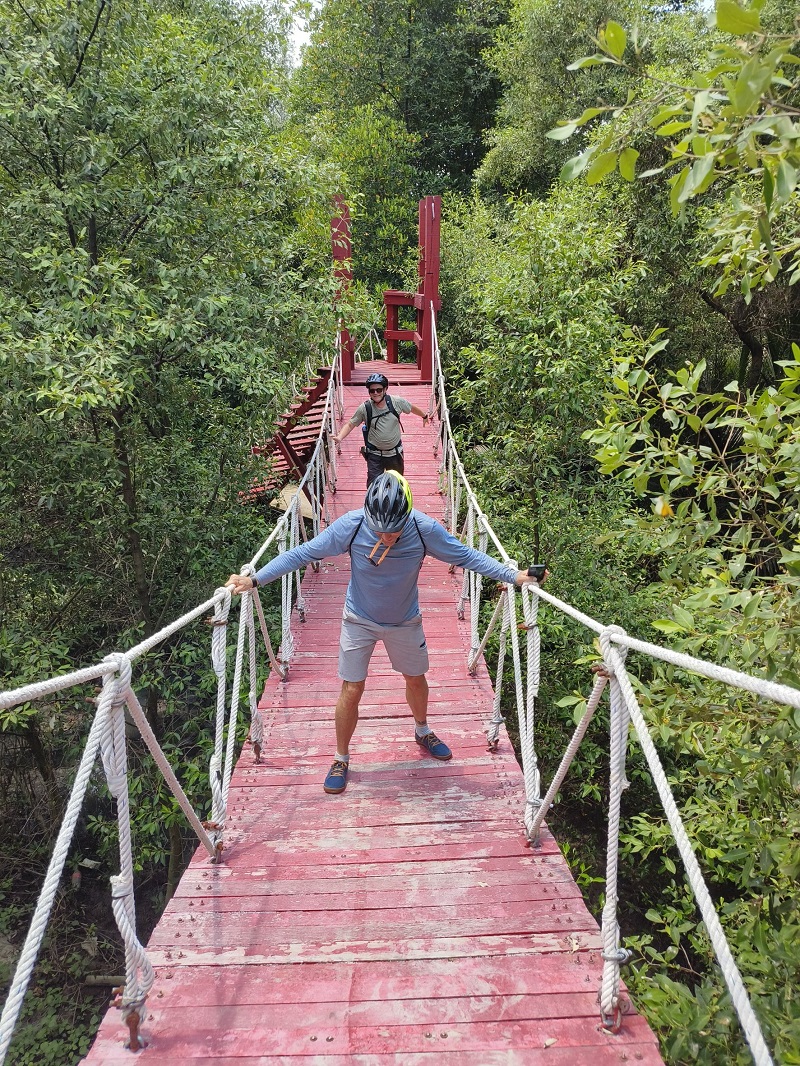 Lush mangrove forest at the Bangkok Mangrove Conservation Centre